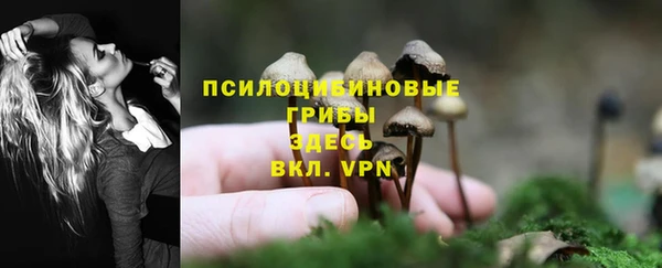 мескалин Алзамай