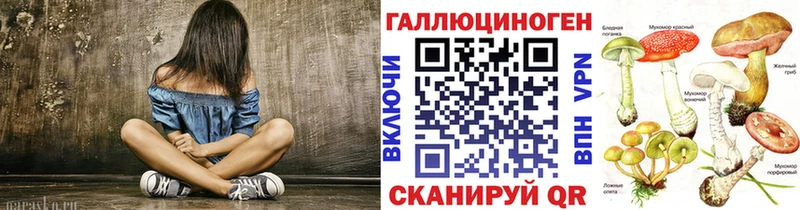 ОМГ ОМГ зеркало Стародуб Псилоцибиновые грибы Cubensis цены